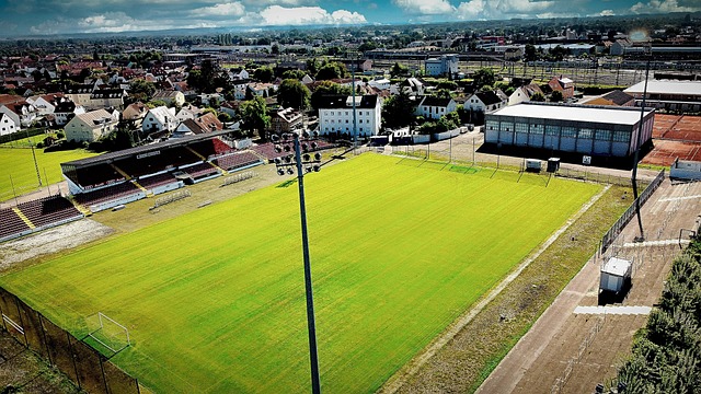 初期就确立 初期就确立