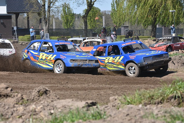 他们的经验 他们的经验