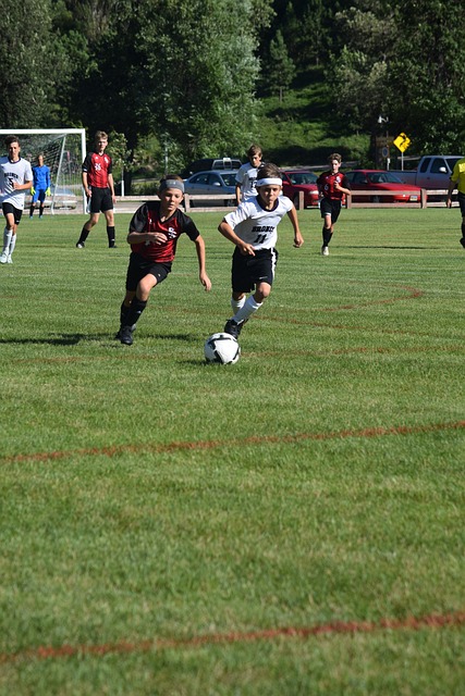 与众不同 与众不同