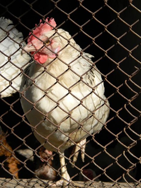 僅僅具備這 僅僅具備這